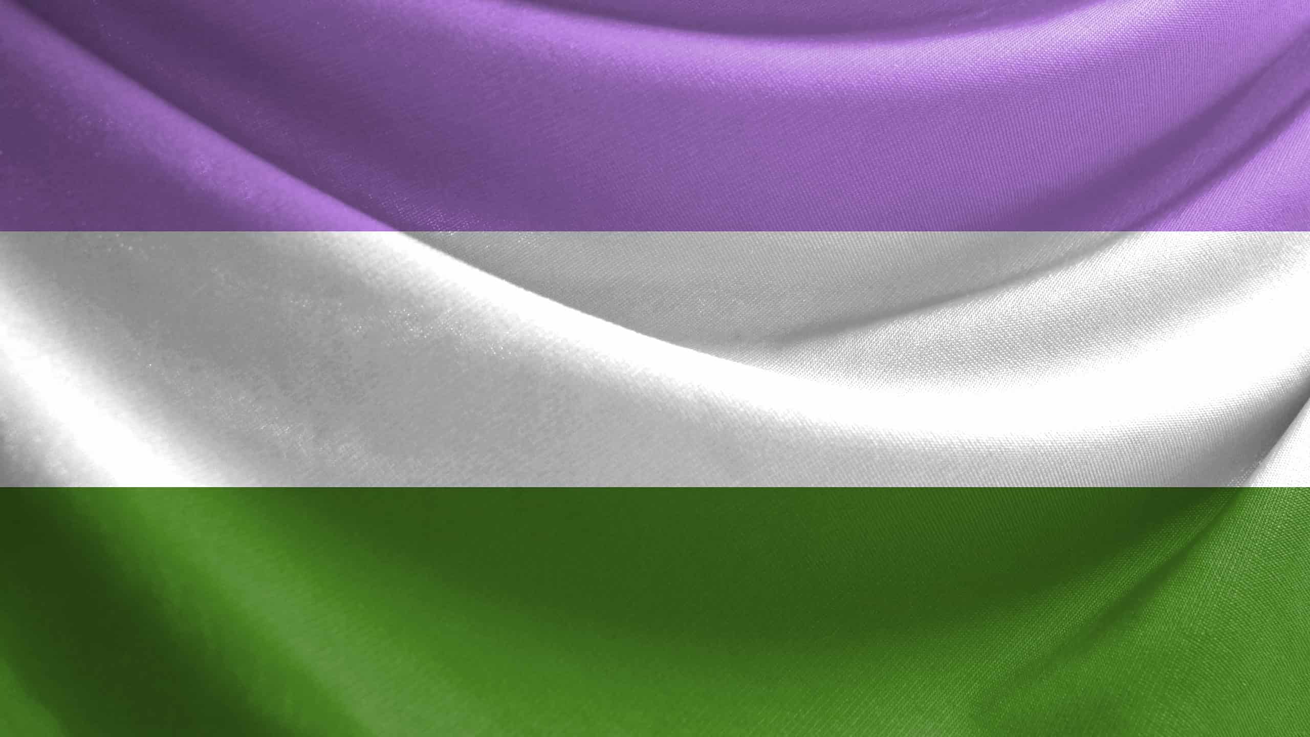 Bandiera viola, bianca e verde: cosa potrebbe essere?