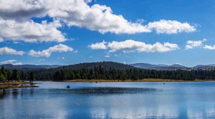 Scopri il gennaio più freddo mai registrato in Arizona
