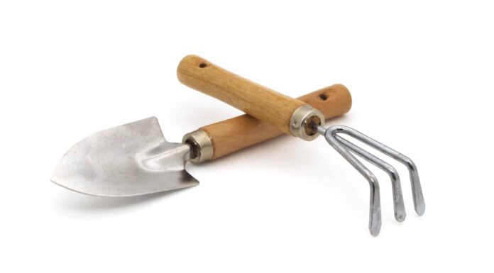 Cosa piantare a febbraio: la guida completa
