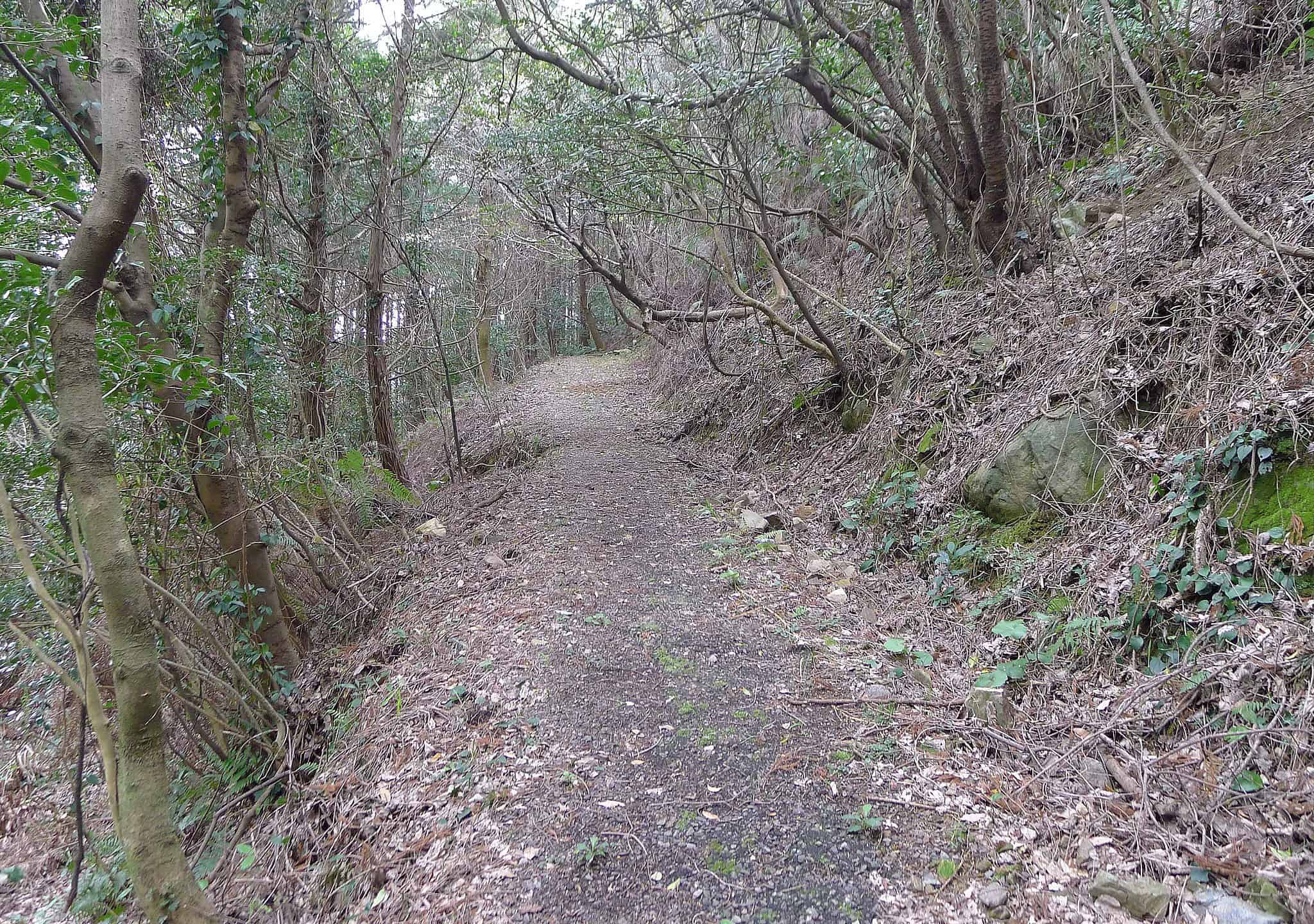 8 fatti incredibili sulle strade più antiche del mondo