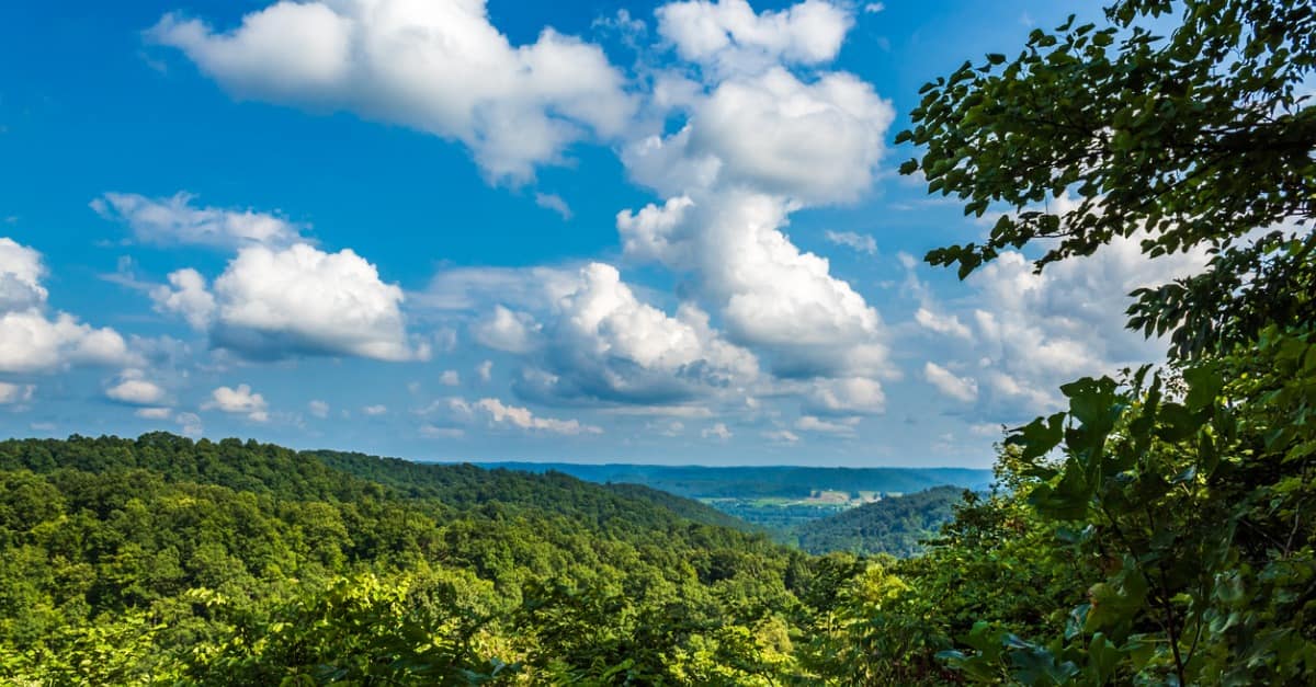 Shawnee state forest