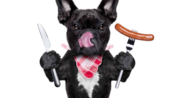 I cani possono mangiare Bologna?
