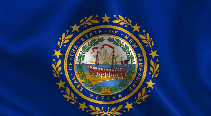 La bandiera del New Hampshire: storia, significato e simbolismo
