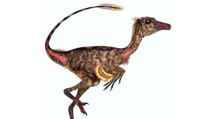 7 dinosauri che vivevano nel Nord Dakota (e dove vedere i fossili oggi)
