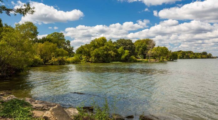 Quanto è profondo il lago Tawakoni in Texas?
