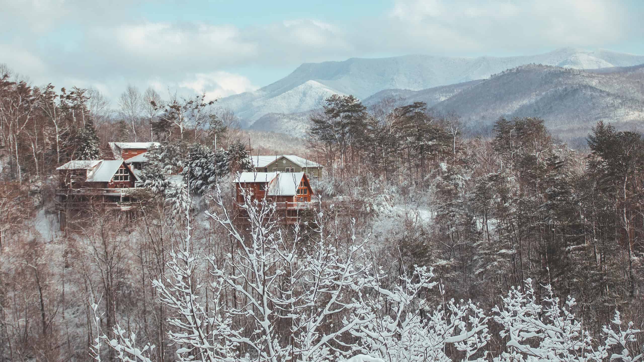 Scopri il gennaio più freddo mai registrato in Tennessee