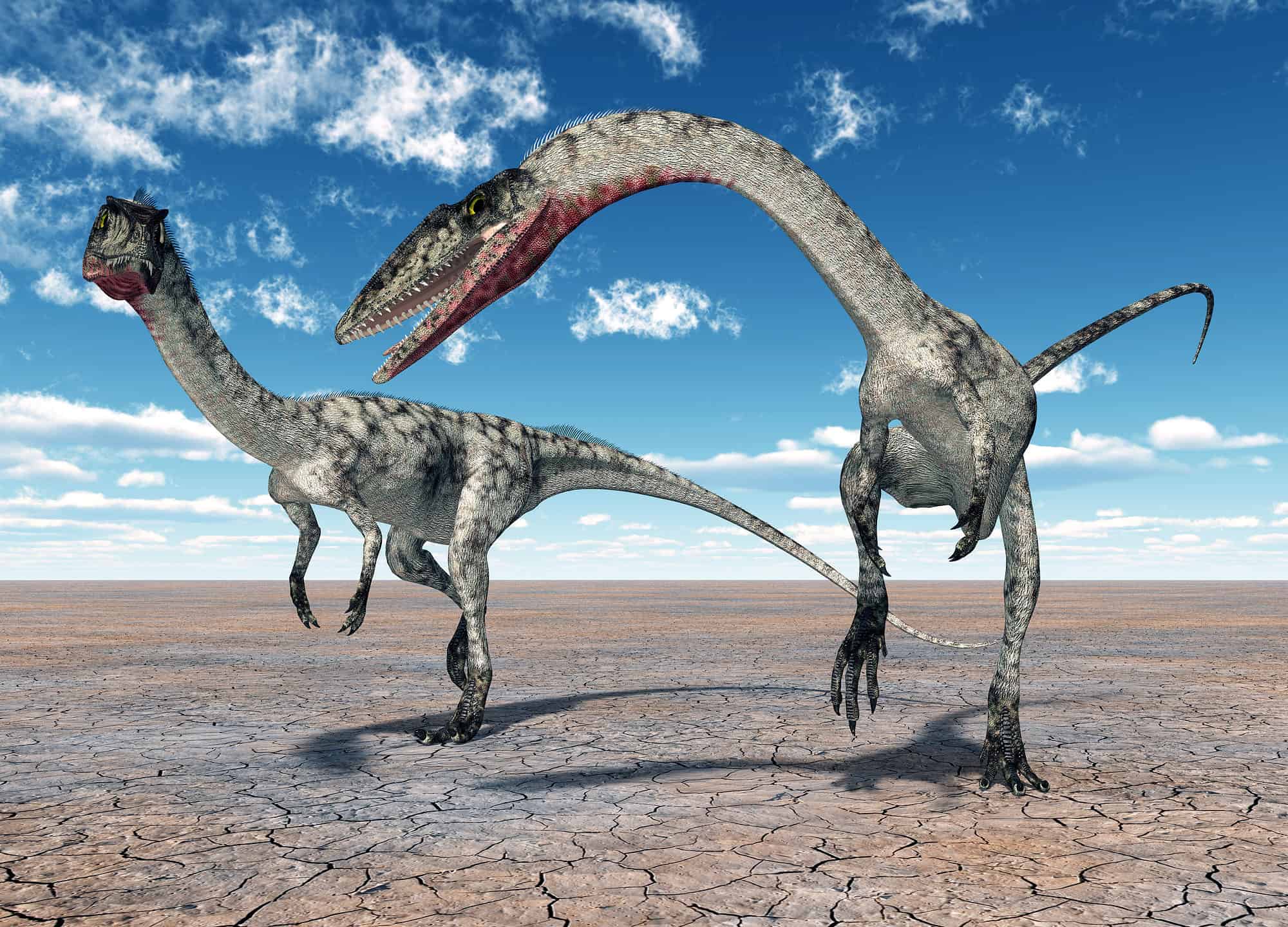 Dinosauri che vivevano a New York (e dove vedere i fossili oggi)