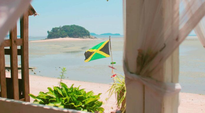 10 incredibili alberi originari della Giamaica
