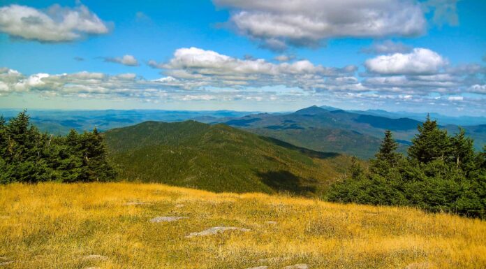Animali antichi che vivevano nel Vermont (e dove vedere i fossili oggi)
