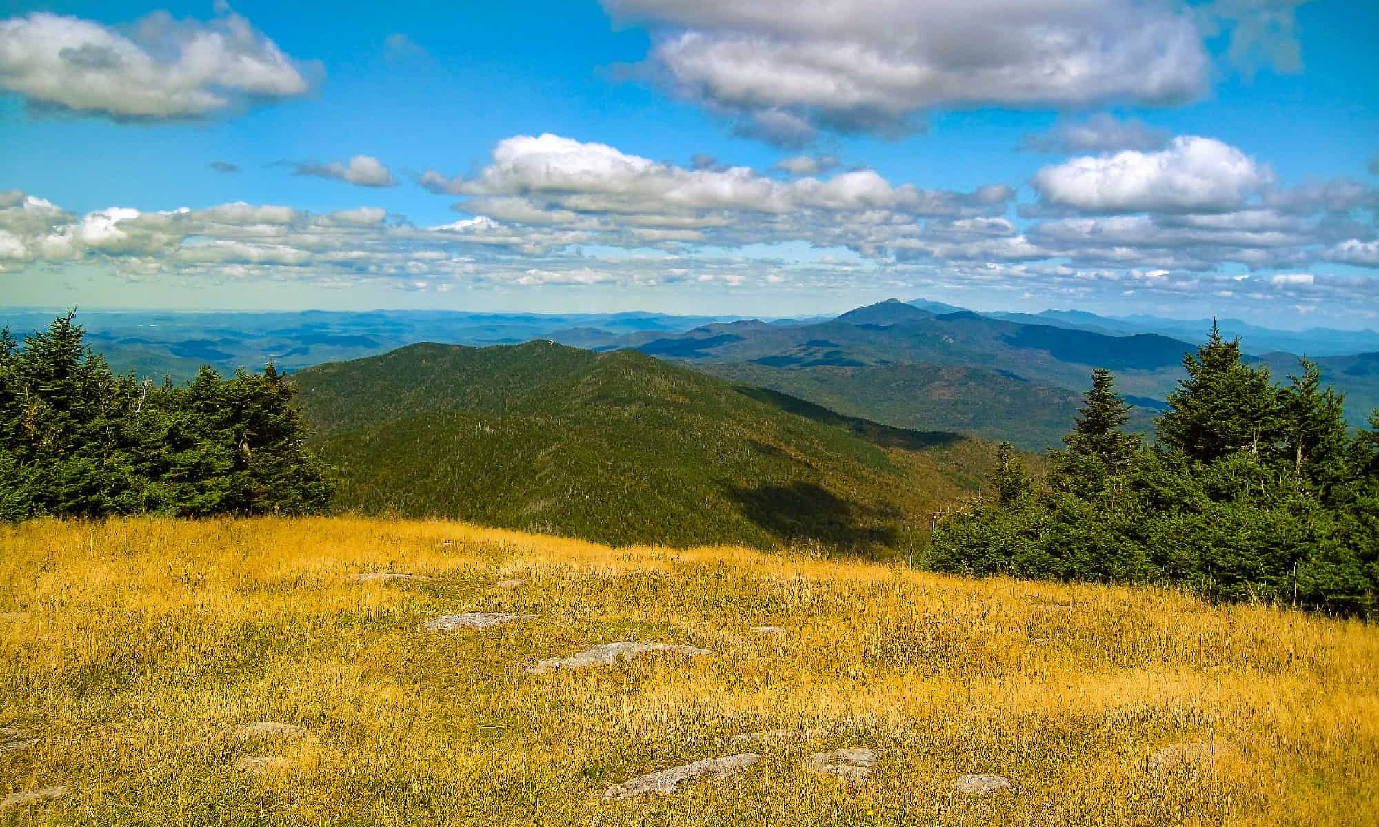 Animali antichi che vivevano nel Vermont (e dove vedere i fossili oggi)