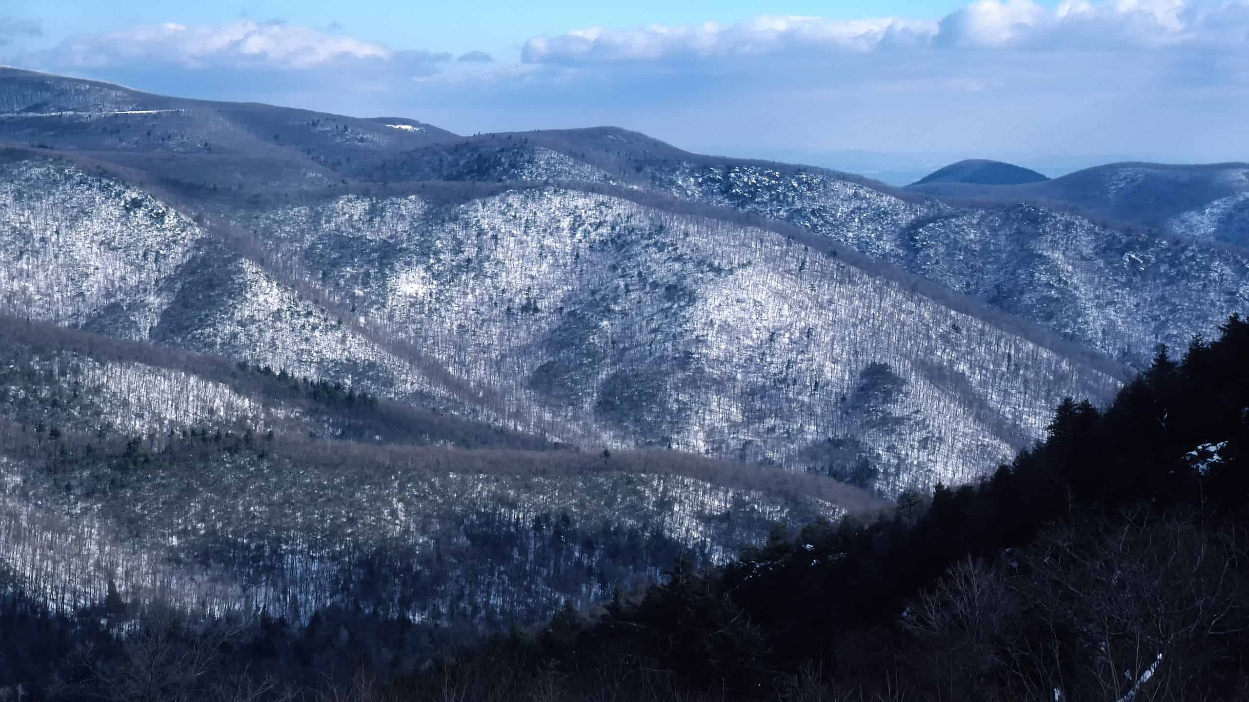 Miglior sci in Virginia: guida per le migliori montagne e date per le migliori condizioni di neve