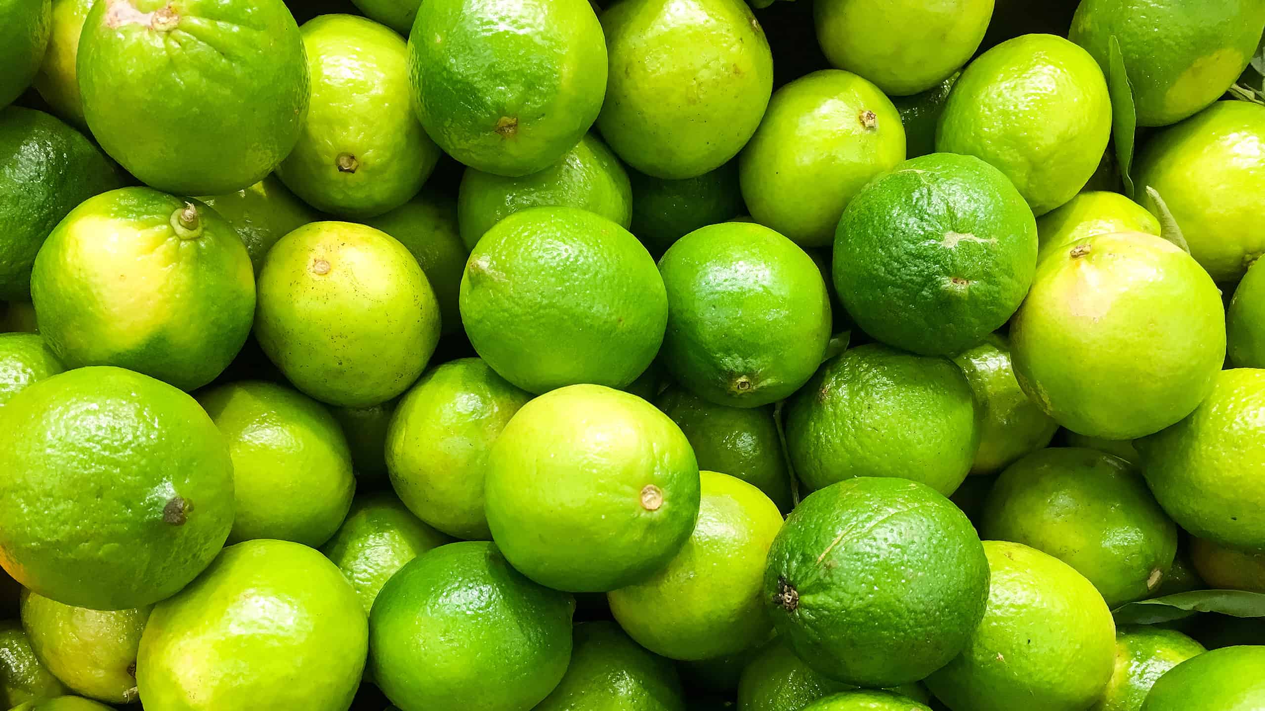 I cani possono mangiare i lime?  Quali sono i rischi?