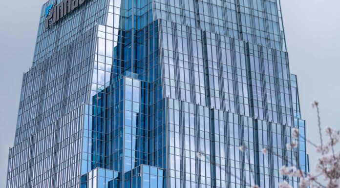 Fiori di ciliegio in Tennessee: quando fioriscono e dove vederli
