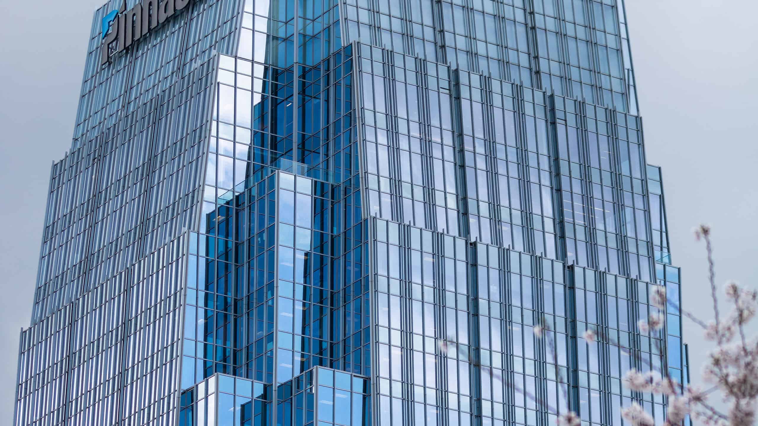 Fiori di ciliegio in Tennessee: quando fioriscono e dove vederli