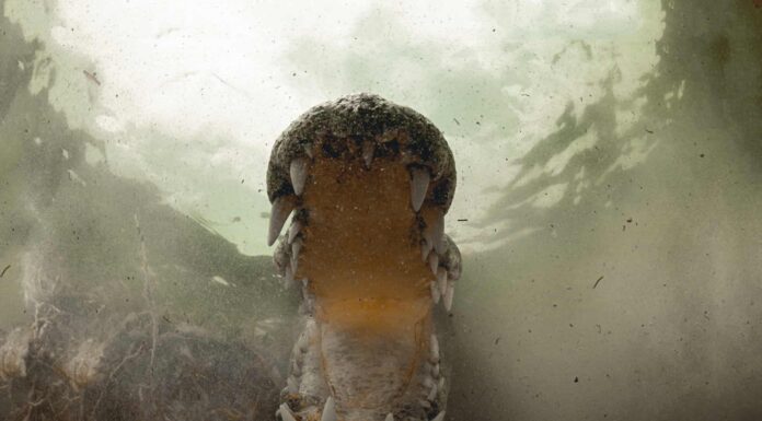 Scopri la palude più infestata dai coccodrilli del mondo
