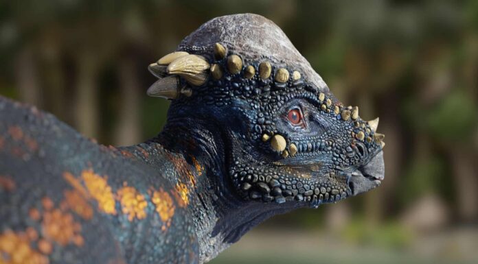 6 dinosauri che vivevano nel South Dakota (e dove vedere i fossili oggi)
