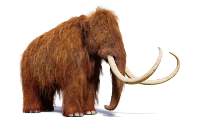 3 dinosauri che vivevano nella Carolina del Sud (e dove vedere i fossili oggi)
