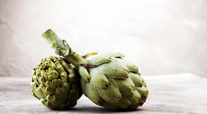 Carciofo di Gerusalemme contro carciofo
