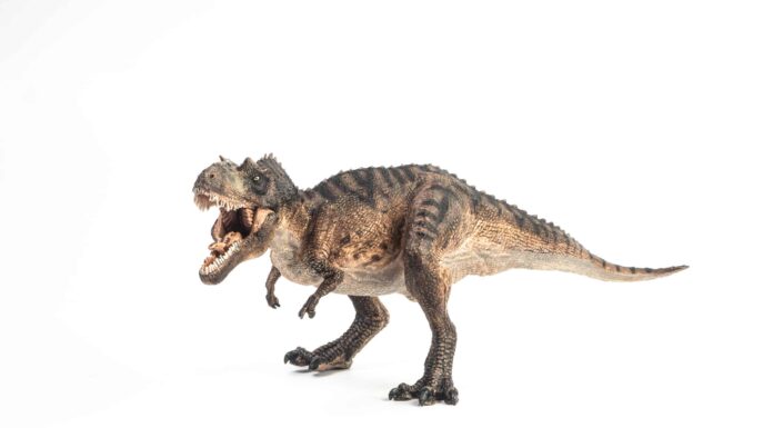 Dinosauri che vivevano in Kentucky (e dove vedere i fossili oggi)
