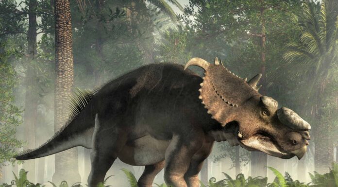 Dinosauri che vivevano nel Michigan (e dove vedere i fossili oggi)
