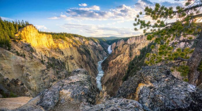 Incontra i 9 più grandi proprietari terrieri del Wyoming
