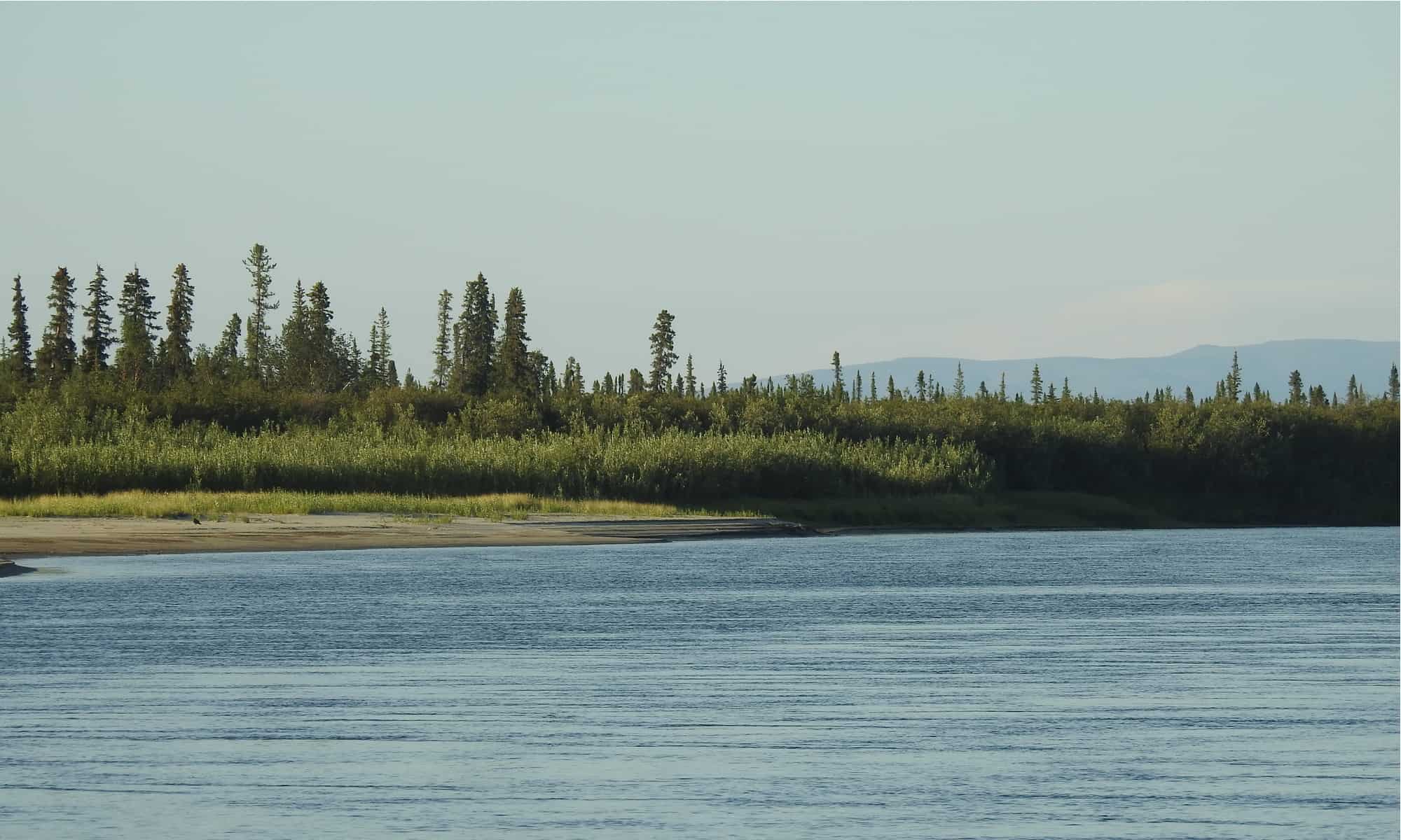 Glacier Bay National Park and Preserve, Alaska
