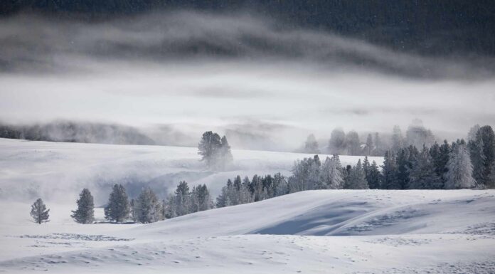 Scopri il luogo più freddo del Wyoming (-66 gradi!)
