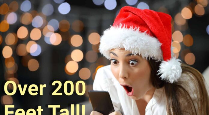 Scopri l'albero di Natale più grande di sempre
