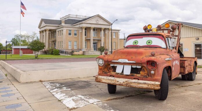 Scopri perché una piccola città della Georgia sta costruendo il pollo più grande del mondo
