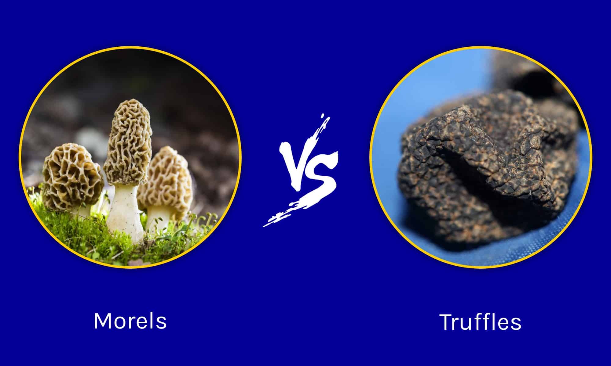 Spugnole contro tartufi