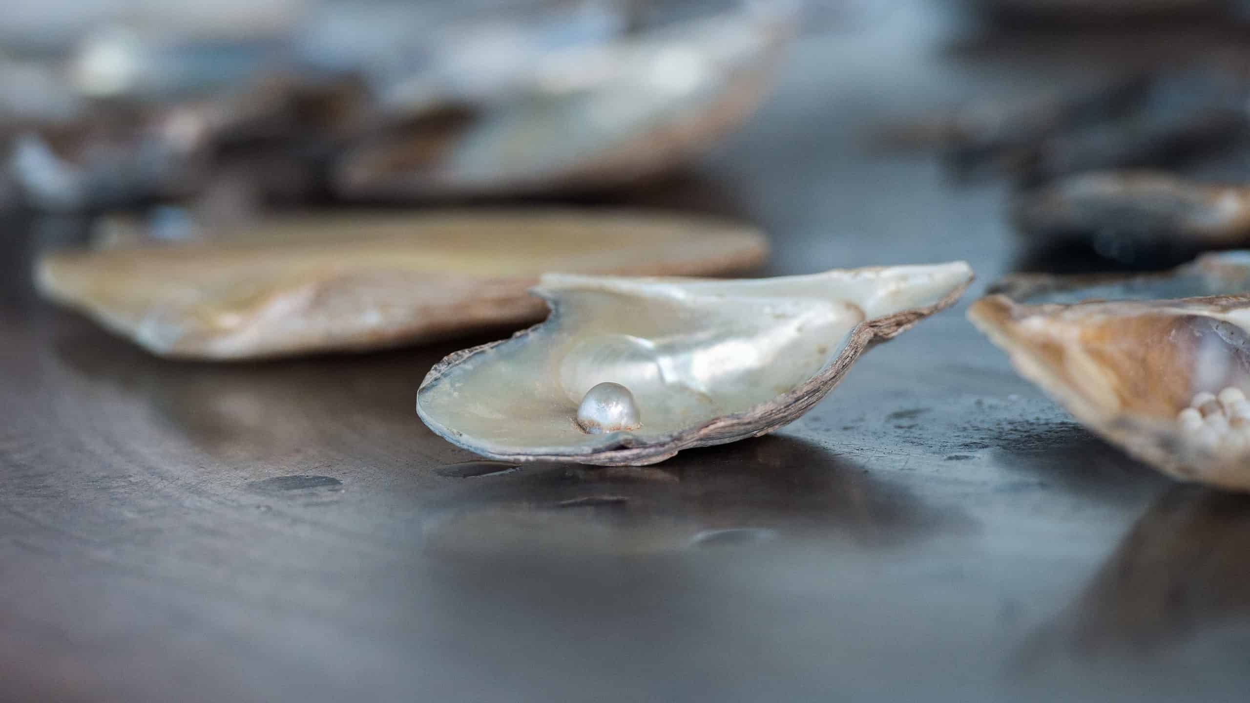 La più grande perla mai trovata