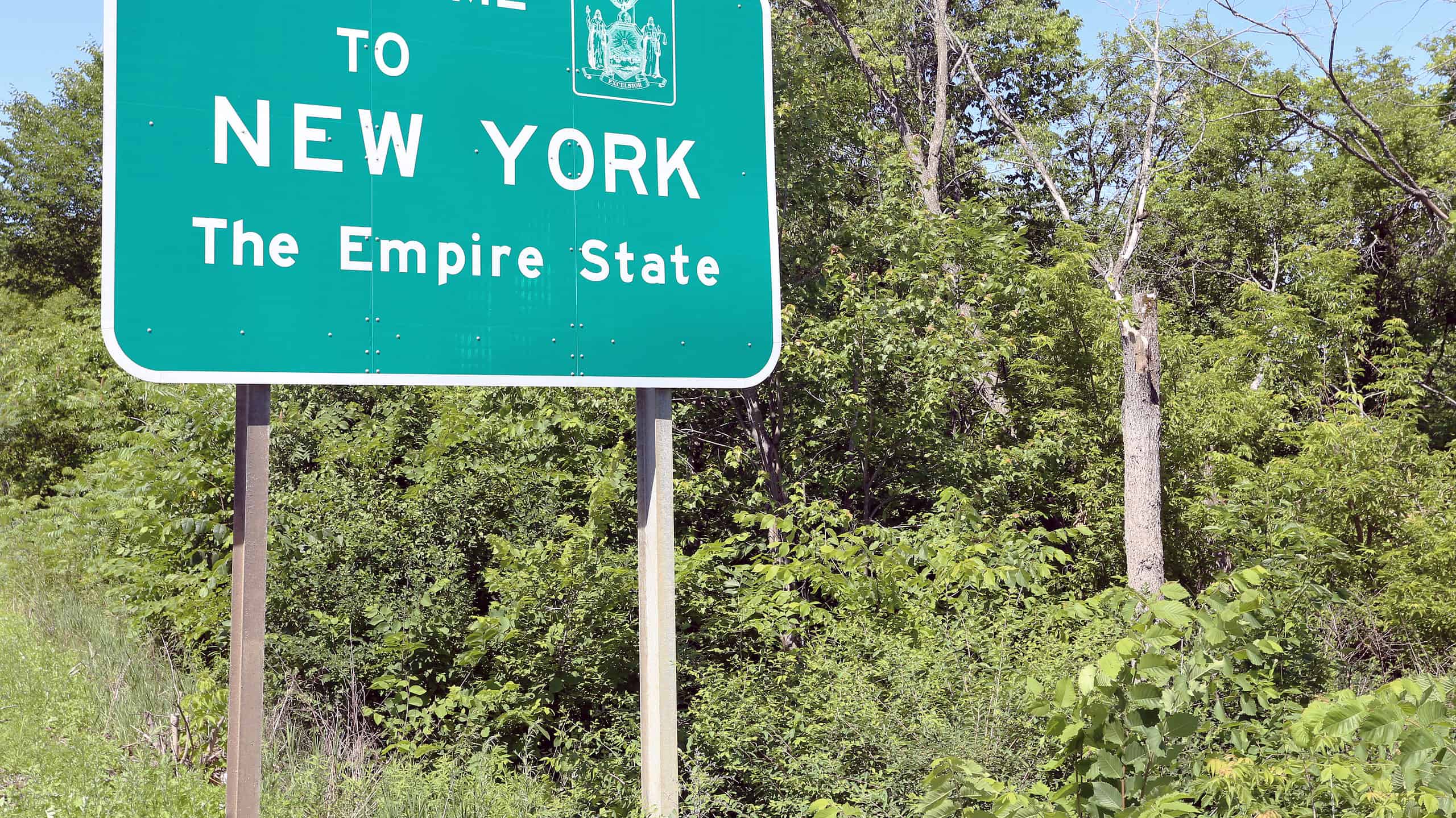 7 affascinanti animali che sono in via di estinzione e vivono a New York