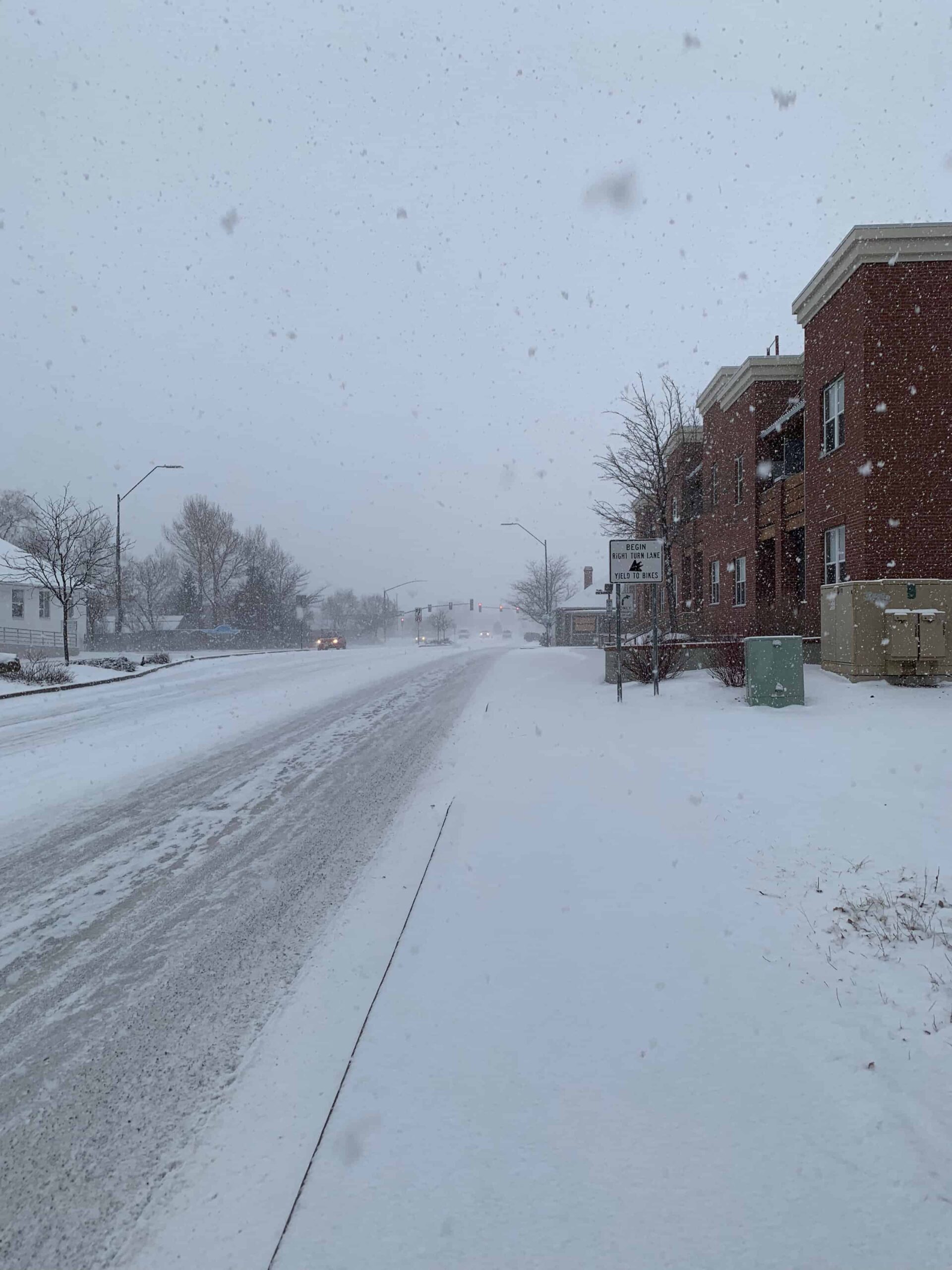 Scopri la più grande bufera di neve che abbia mai colpito l'Arizona (Sì, l'Arizona!)
