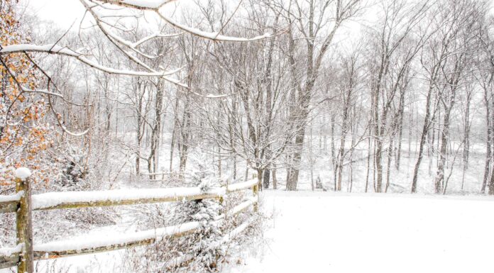 Scopri la temperatura più fredda mai registrata in Pennsylvania
