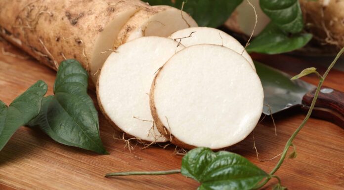 I cani possono mangiare patate dolci?
