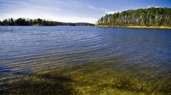 Qual è il più grande lago artificiale dell'Arkansas
