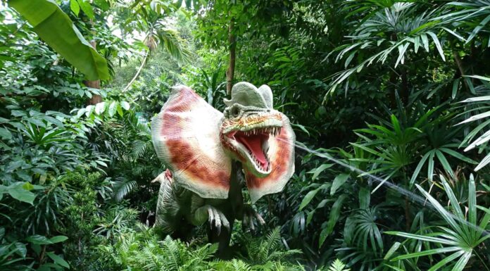 5 dinosauri vissuti nel Connecticut (e dove vedere i fossili oggi)
