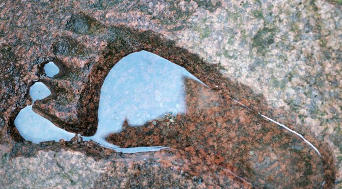 Il piede più grande del mondo mai registrato
