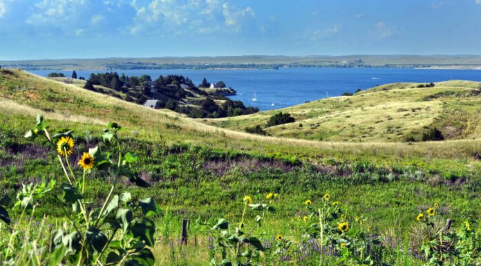 Qual è il lago artificiale più grande del Nebraska?
