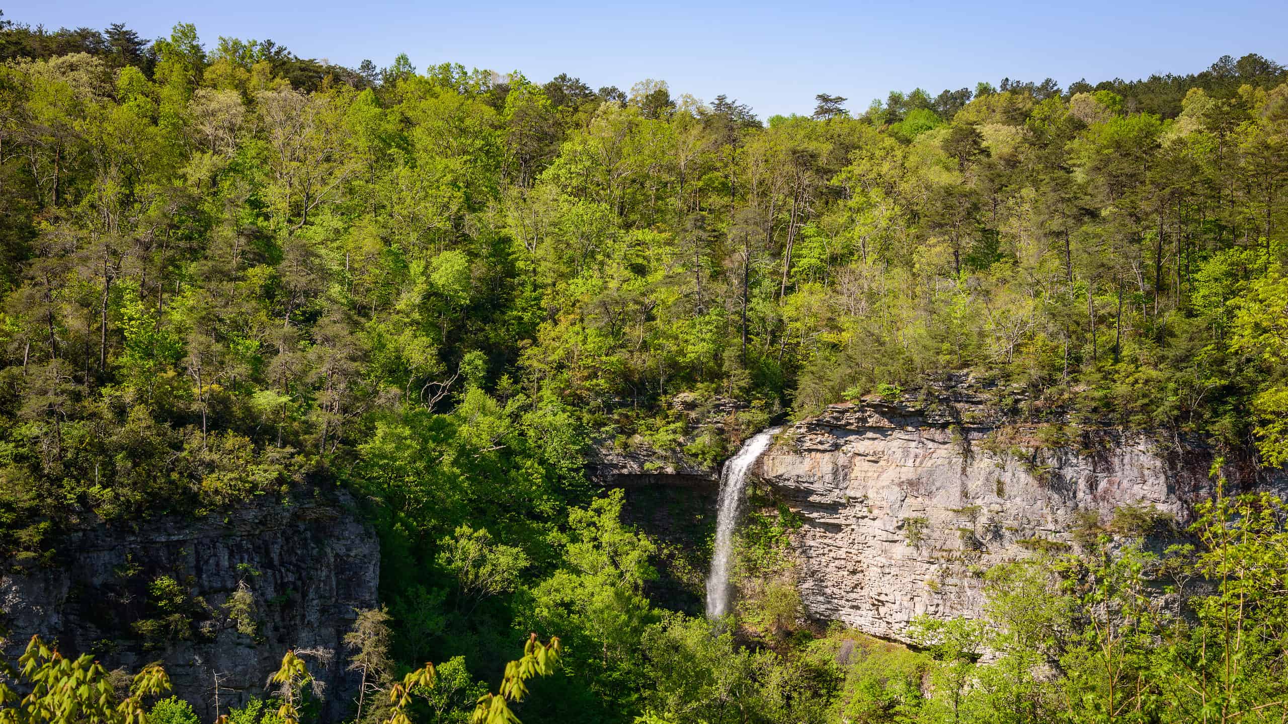 Scopri la cascata più alta dell'Alabama