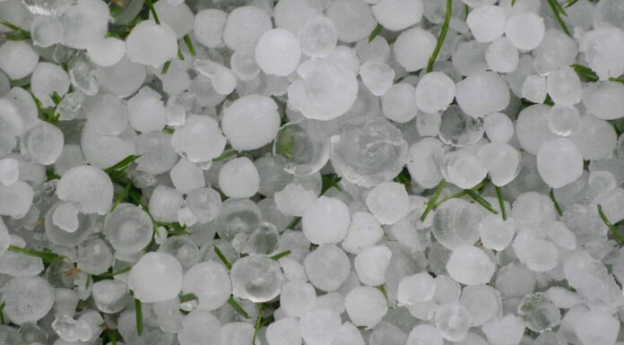 Scopri il chicco di grandine più grande di sempre (più grande di una palla da softball)
