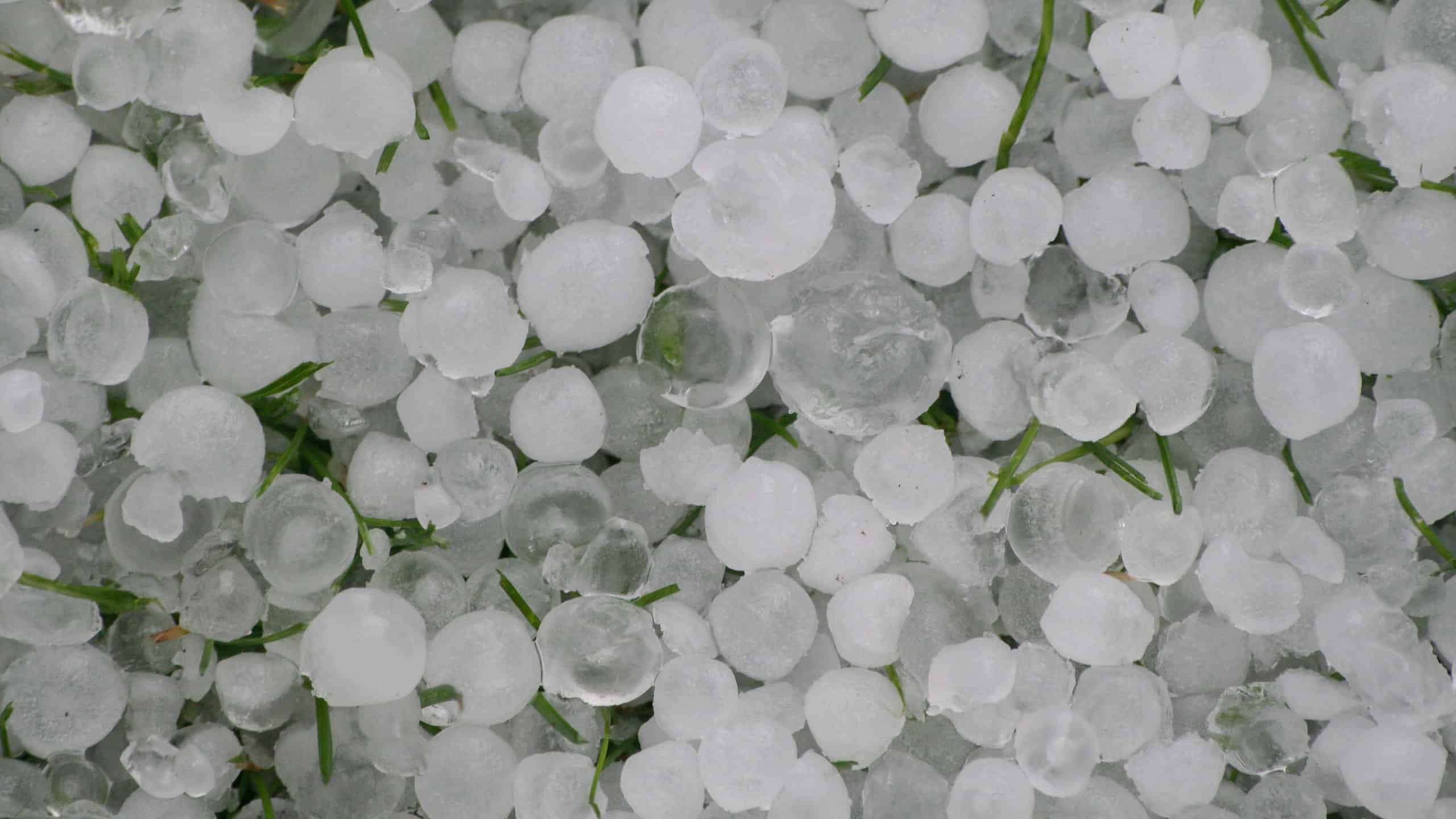 Scopri il chicco di grandine più grande di sempre (più grande di una palla da softball)