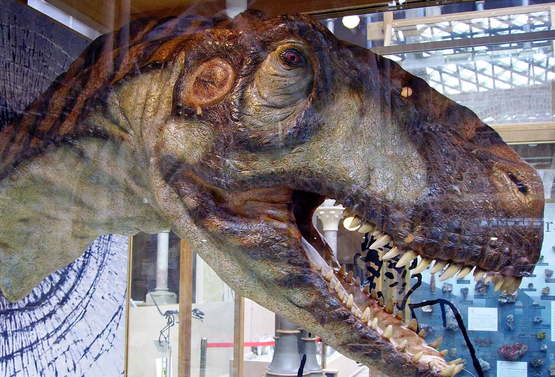 Scopri i 10 nomi di dinosauri più lunghi