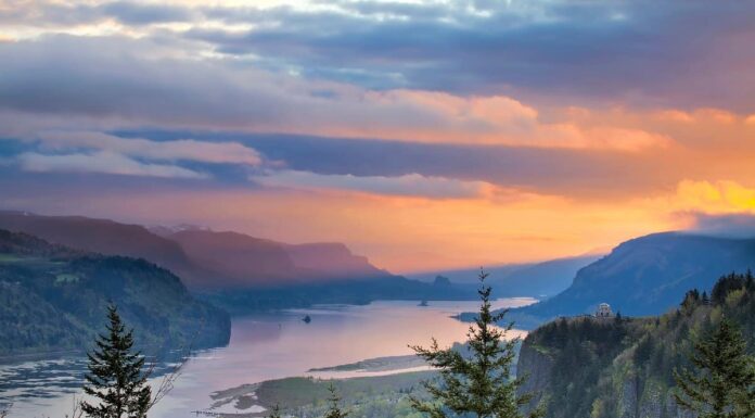 Cosa vive in fondo al fiume Columbia?
