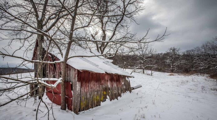 Come si confronta questo inverno con il più freddo di sempre del Missouri?
