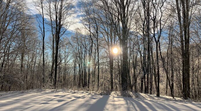 Come si confronta questo inverno con il più freddo di sempre della Carolina del Nord?
