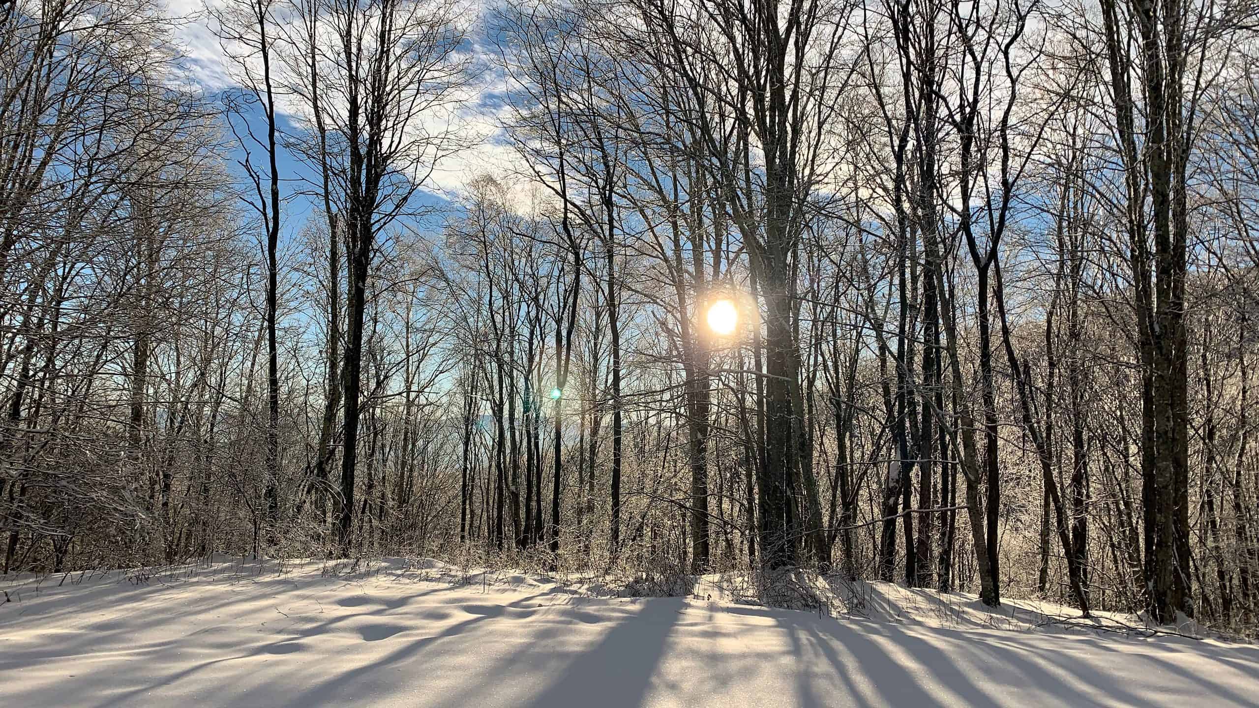 Come si confronta questo inverno con il più freddo di sempre della Carolina del Nord?