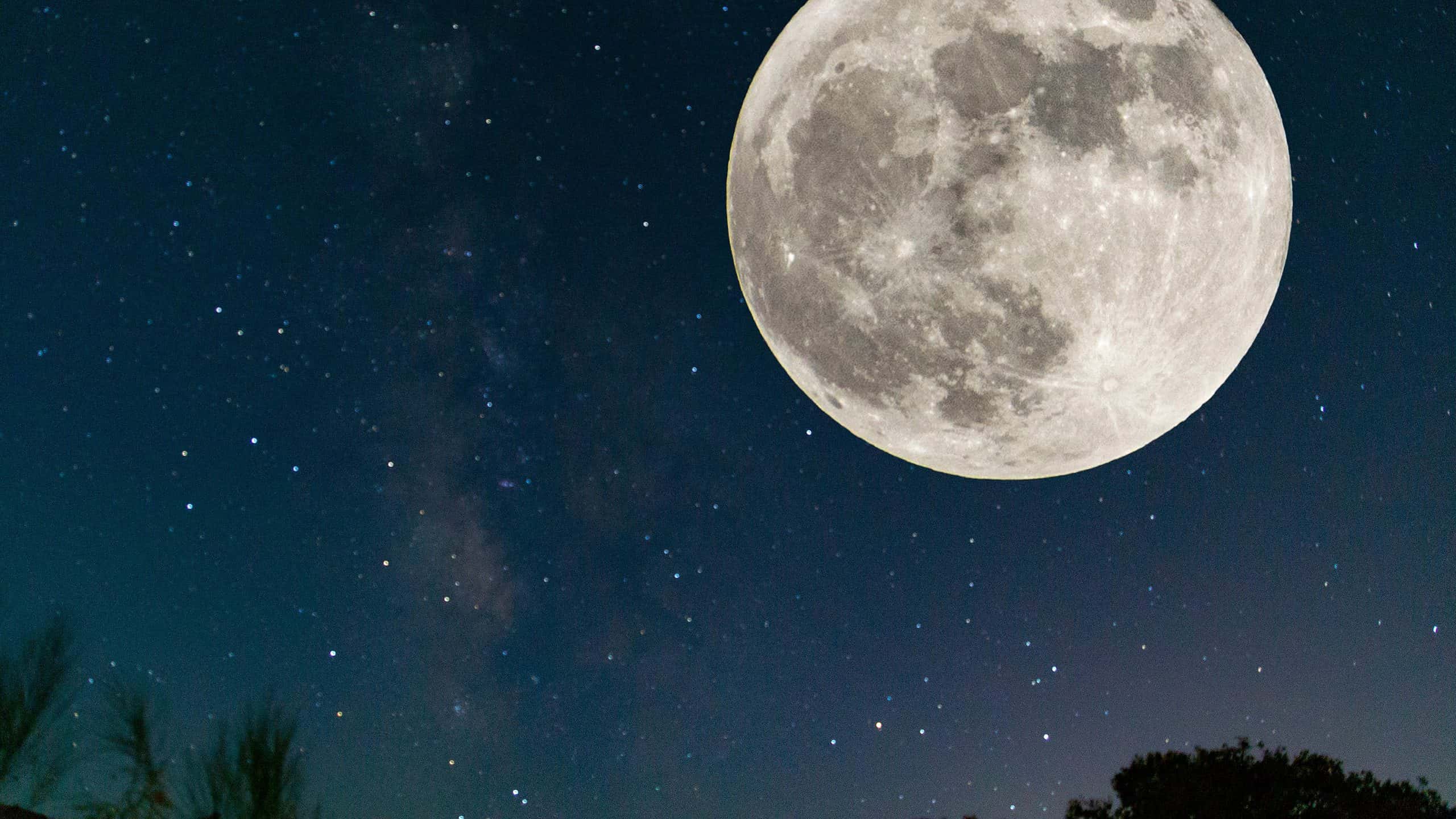 Scopri i 10 più grandi crateri lunari sulla Luna