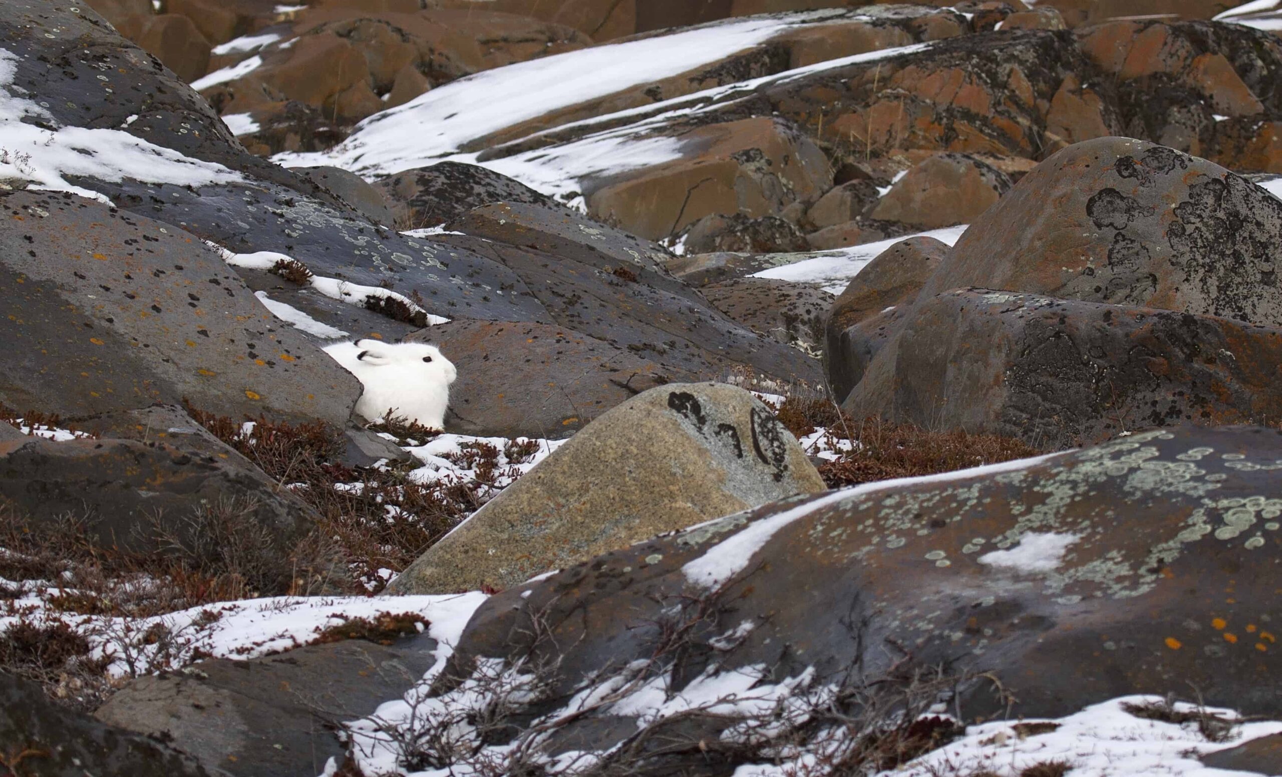 8 fatti sulla roccia più antica della terra
