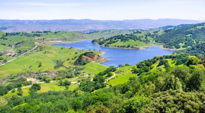 Allergie a San Jose: tutto da sapere
